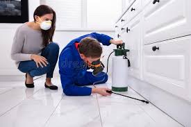 Best Fumigation Services  in Trumansburg, NY